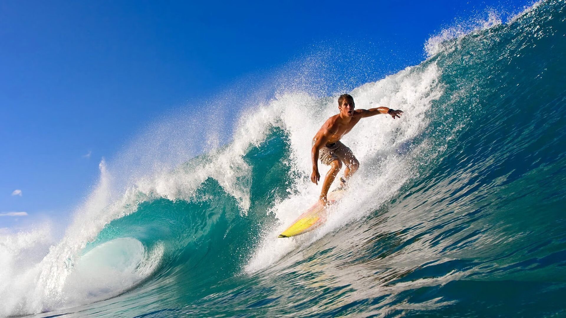 河床防守端表现稳健，什么叫做河床